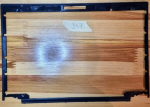 Cadre intérieur de l'écran LCD du Lenovo ThinkPad T470s AP0YU000500KRD