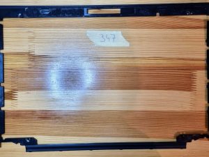 Lenovo ThinkPad T470s LCD okvir unutarnjeg okvira AP0YU000500KRD