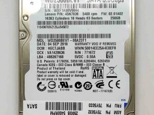 WD WD2500BEVT 250GB SATA II 5400 RPM 2.5" HDD za Lenovo Edge 15 0301, 100% zdravlje